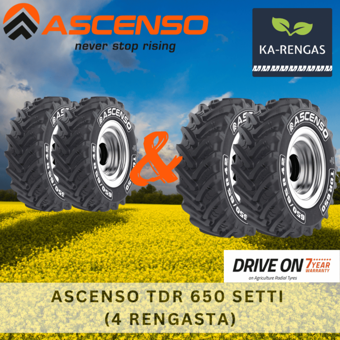 Ascenso setti